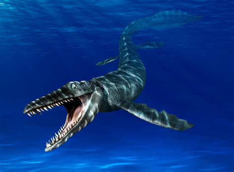 what tempture is the mosasaur.